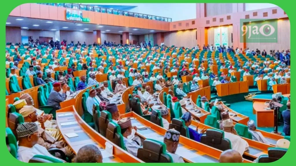 Reps Probe Detention of NAF Plane, 11 Airmen in Burkina Faso